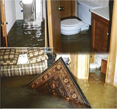 Wish List for Your Home and Office – Water Damage Restoration