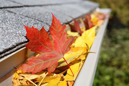 Home Maintenance Tips – Fall Checklist