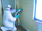 Got Mold? Steps to Cleaning up Mold after a Flood