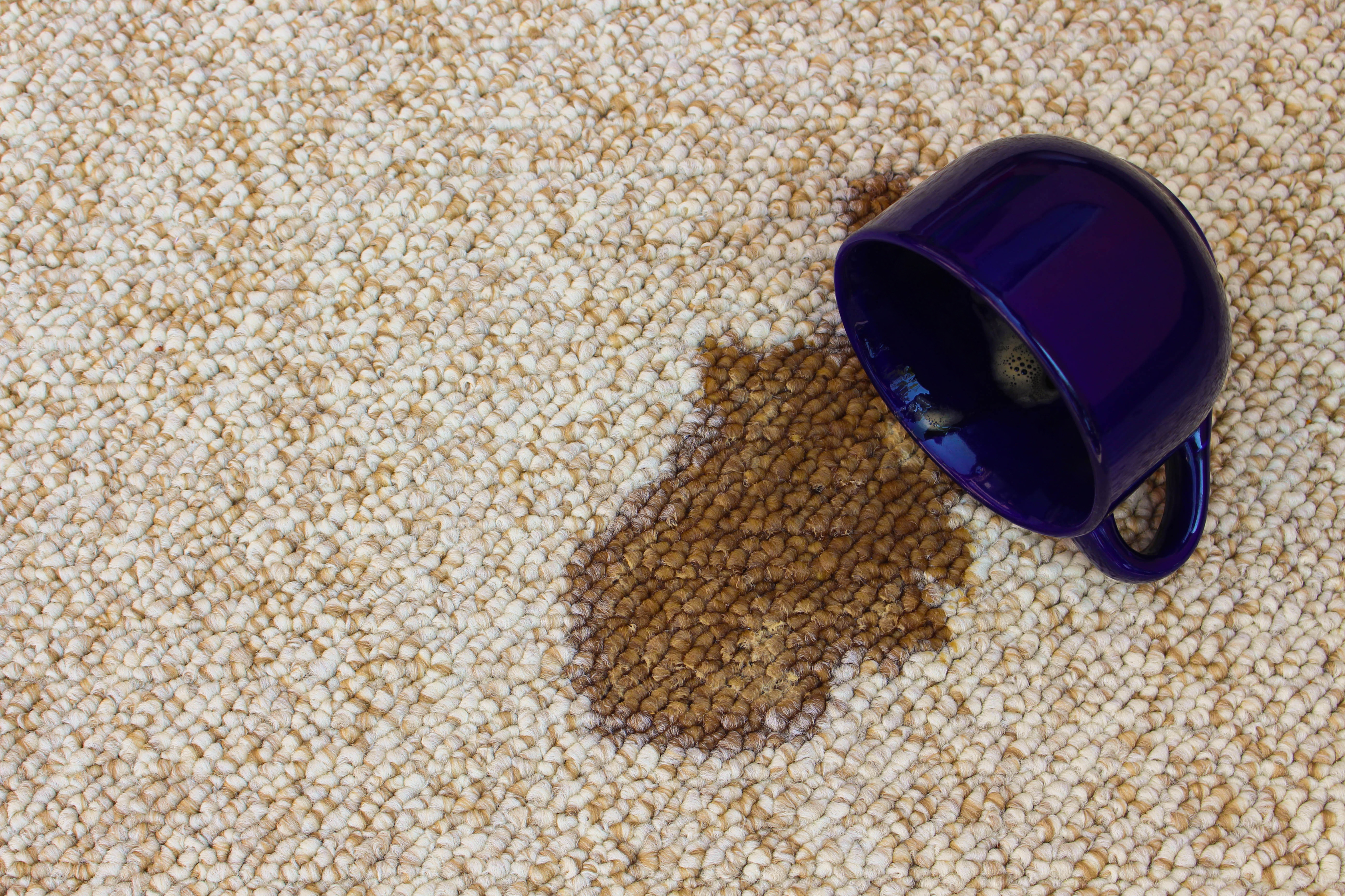 How to Remove Coffee Stains and Pet Stains from your Carpet