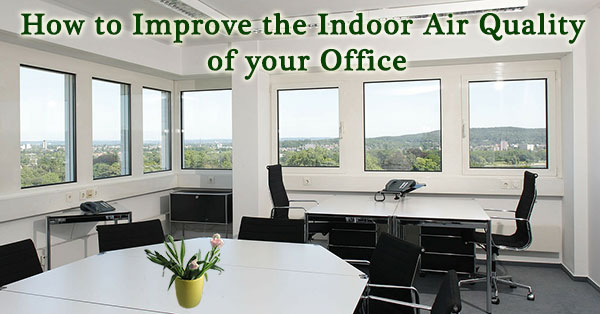 How to Improve the Indoor Air Quality of your Office