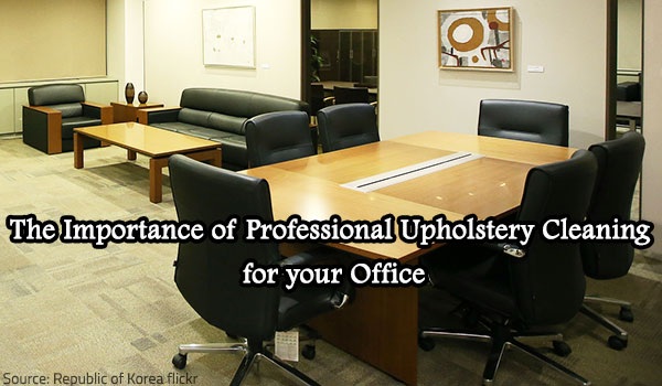 The Importance of Professional Upholstery Cleaning for your Office