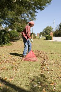 Fall lawn maintenance will allow moisture to evaporate and prevent musty smells and outdoor mold growth.