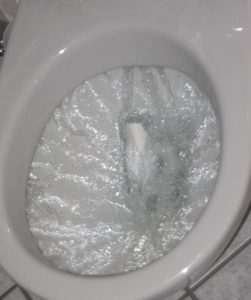 Flush-Toilet