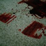 Check out the following steps on how to remove a blood stain from the carpet.