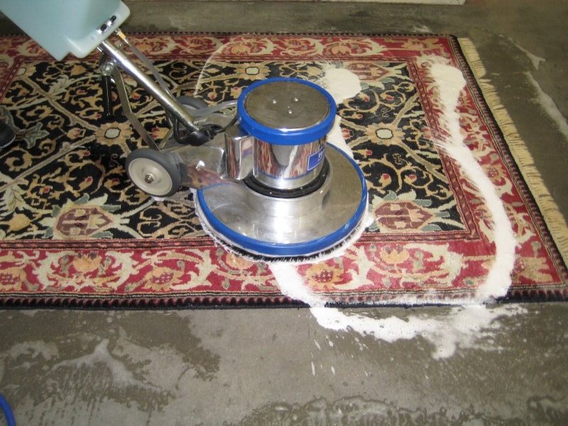 How to Remove Mold & Mildew Odors from Carpeting