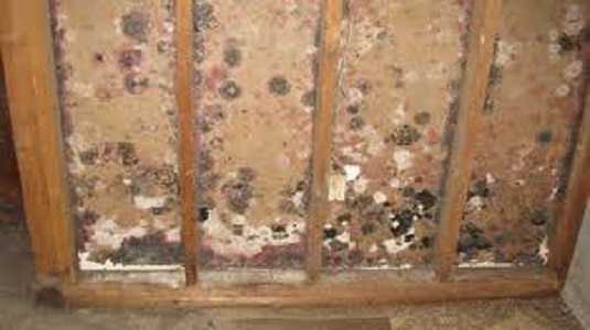 How to Prevent Mold in the Winter